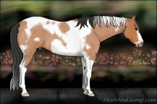 Horse Color:Bay Roan Tobiano Frame 