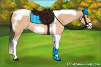 Horse Color:Amber Champagne Tobiano Frame 