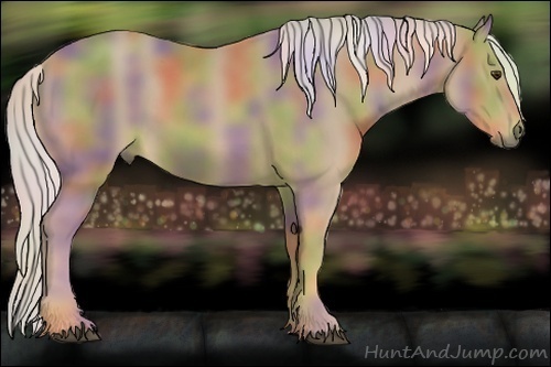 Horse Color:Nacre Palomino 