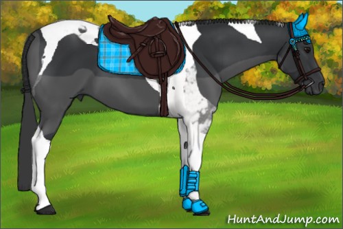 Horse Color:Black Tobiano 