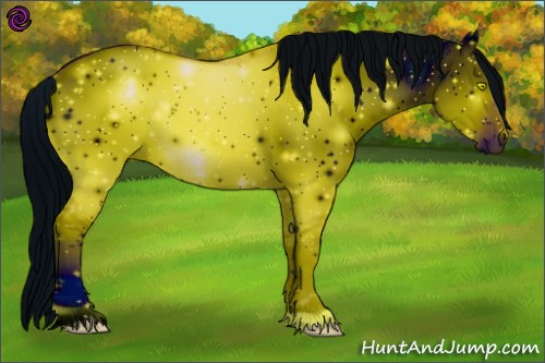 Horse Color:ERROR: UNKNOWN ANOMALY
