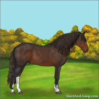 Horse Color:Liver Chestnut Sabino