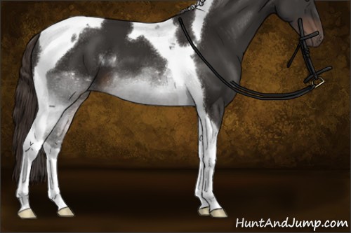 Horse Color:Liver Chestnut Tobiano 