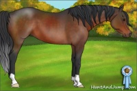 Horse Color:Brown 