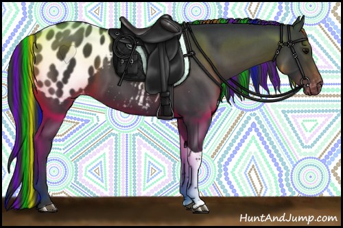 Horse Color:Painted Black Tobiano Appaloosa 