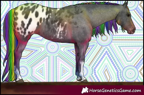 Horse Color:Painted Black Tobiano Appaloosa 