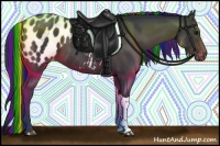 Horse Color:Painted Black Tobiano Appaloosa