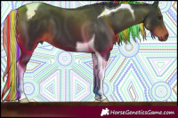 Horse Color:Gray Painted Liver Chestnut Tobiano 