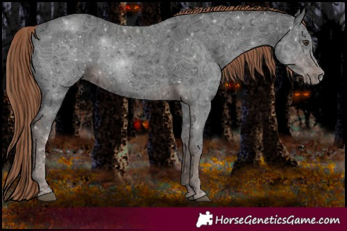 Horse Color:Liver Chestnut Ice Rabicano 