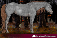 Horse Color:Liver Chestnut Ice Rabicano