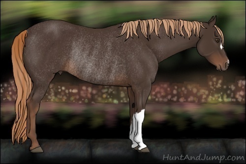 Horse Color:Liver Chestnut Rabicano 