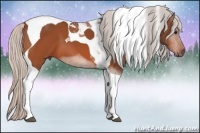 Horse Color:Silver Bay Tobiano 