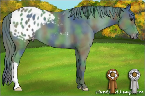 Horse Color:Nacre Watercolor Black Appaloosa