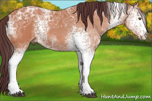 Horse Color:White Spotted Chocolate Bay Ice 