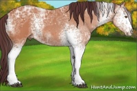 Horse Color:White Spotted Chocolate Bay Ice 