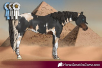Horse Color:White Spotted Chocolate Palomino Pearl Mushroom  and Gray White Spotted Liver Chestnut Tobiano 