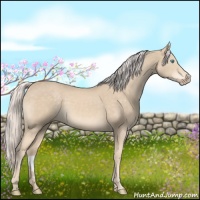 Horse Color:Cremello Sabino 