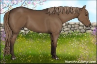 Horse Color:Liver Chestnut Rabicano 
