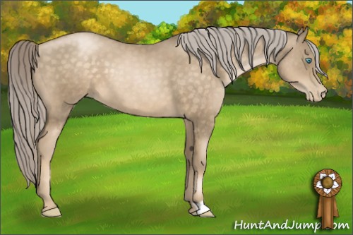 Horse Color:Chocolate Palomino Pearl