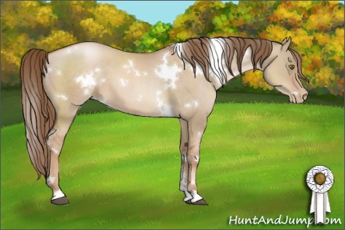 Horse Color:White Spotted Liver Red Dun Pearl 
