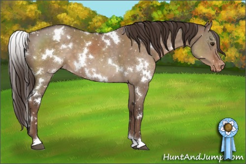 Horse Color:White Spotted Liver Red Dun Snowflake Varnish 