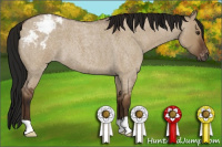 Horse Color:Gray Bay Roan Dun Varnish