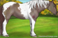 Horse Color:Chocolate Grullo Tobiano 