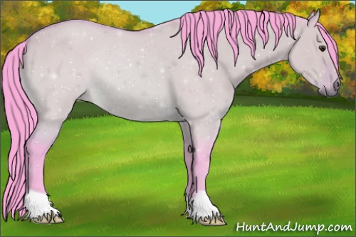 Horse Color:Watercolor Bay Dun