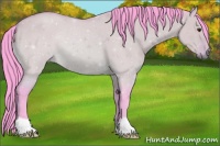Horse Color:Watercolor Bay Dun 