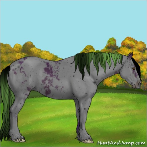Horse Color:ERROR: UNKNOWN ANOMALY