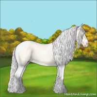 Horse Color:Cremello Dun Tobiano 