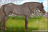 Horse Color:Liver Red Roan Rabicano