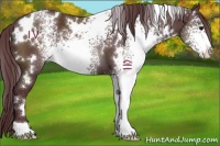 Horse Color:White Spotted Chocolate Black