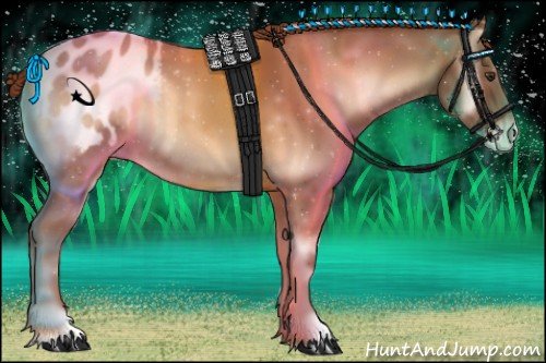 Horse Color:Red Onyx Appaloosa 