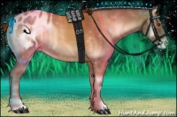 Horse Color:Red Onyx Appaloosa 