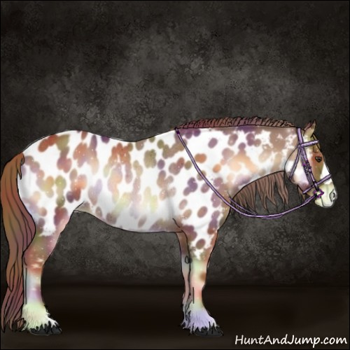 Horse Color:Nacre Red Onyx Near Leopard Rabicano