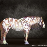 Horse Color:Nacre Red Onyx Near Leopard Rabicano 