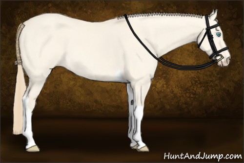 Horse Color:Perlino Dun Tobiano