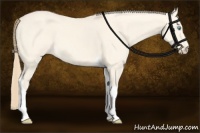 Horse Color:Perlino Dun Tobiano
