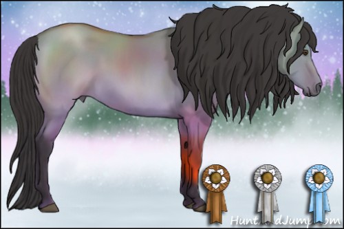 Horse Color:Buckskin Dun
