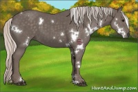 Horse Color:White Spotted Silver Black 