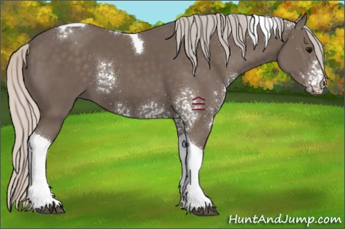 Horse Color:White Spotted Silver Black Tobiano 