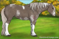 Horse Color:White Spotted Silver Black Tobiano 