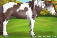 Horse Color:Chocolate Black Sabino Tobiano