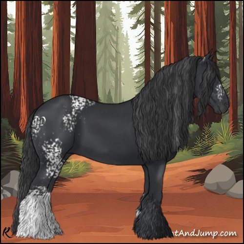 Horse Color:White Spotted Black 