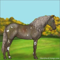 Horse Color:White Spotted Chocolate Palomino Mushroom 