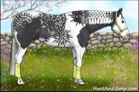 Horse Color:Black Splash Tobiano 