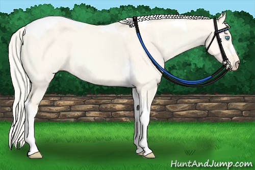 Horse Color:Cremello Dun Tobiano 
