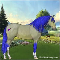 Horse Color:Watercolor Bay Roan Rabicano 