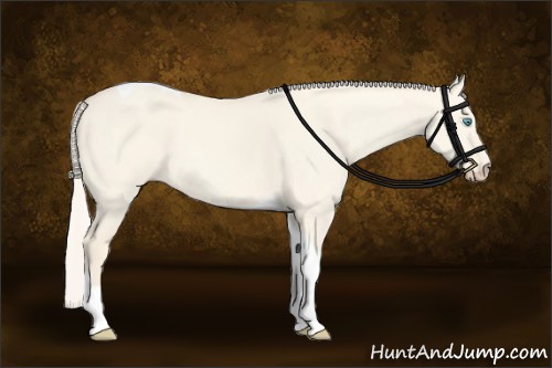 Horse Color:Cremello Dun Tobiano